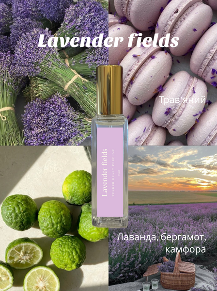 Парфуми Lavender fields PR-lavender_15 фото